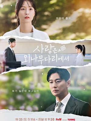 사랑은 외나무다리에서